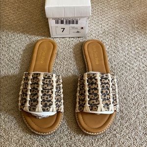 Cheetah slides